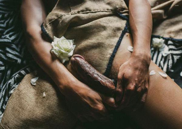 XPERIMENT--Rose-Garden