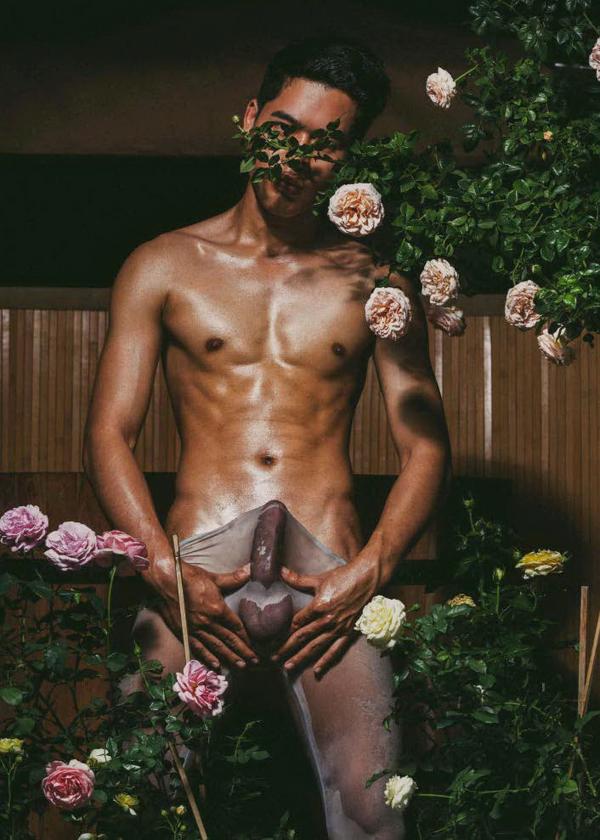 XPERIMENT--Rose-Garden