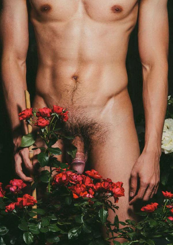 XPERIMENT--Rose-Garden