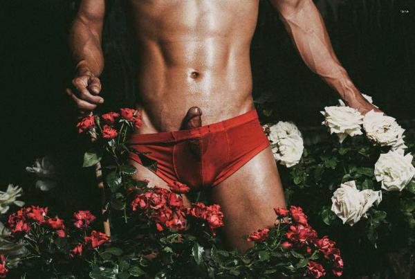 XPERIMENT--Rose-Garden