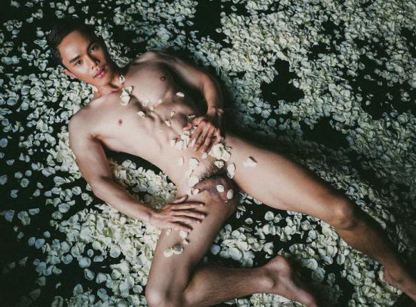 XPERIMENT--Rose-Garden