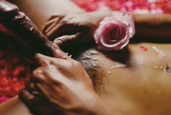 XPERIMENT--Rose-Garden