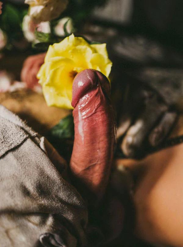 XPERIMENT--Rose-Garden