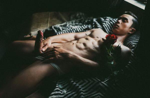 XPERIMENT--Rose-Garden