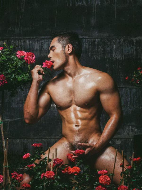 XPERIMENT--Rose-Garden