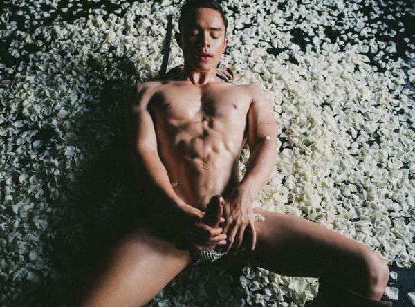 XPERIMENT--Rose-Garden