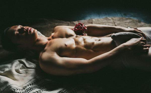 XPERIMENT--Rose-Garden