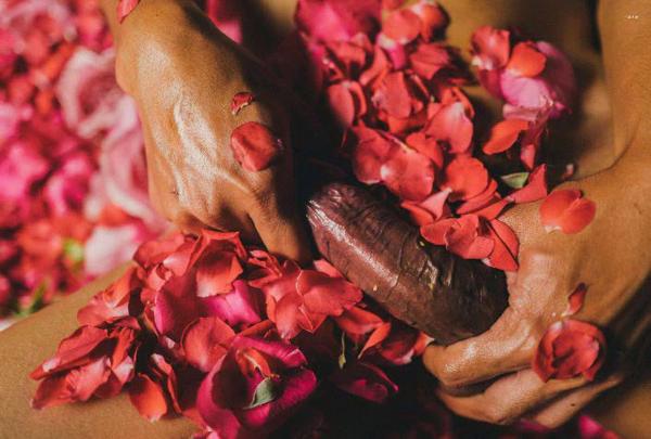 XPERIMENT--Rose-Garden