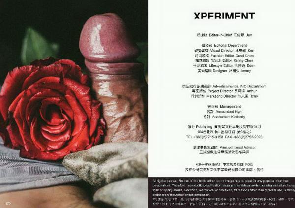 XPERIMENT--Rose-Garden