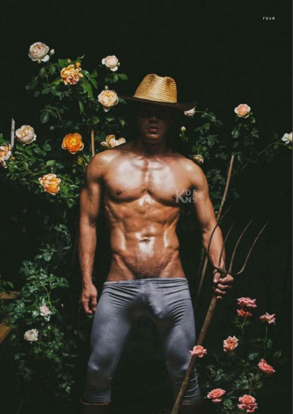 XPERIMENT--Rose-Garden