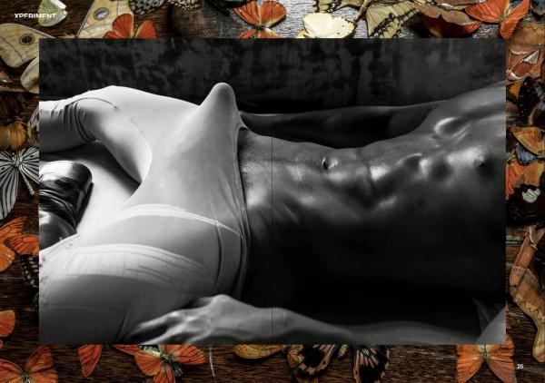 XPERIMENT-10--The-Entomologist