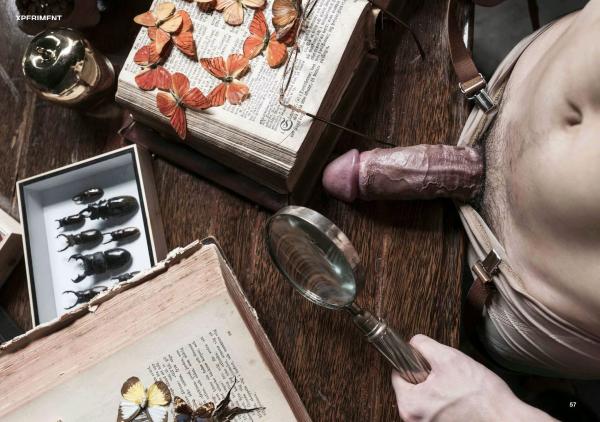 XPERIMENT-10--The-Entomologist