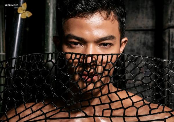 XPERIMENT-10--The-Entomologist