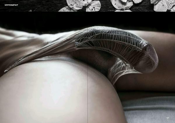 XPERIMENT-10--The-Entomologist