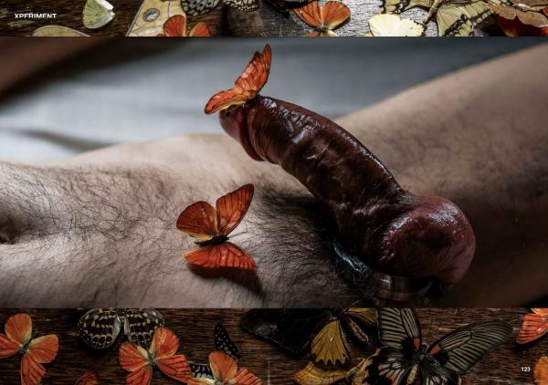 XPERIMENT-10--The-Entomologist