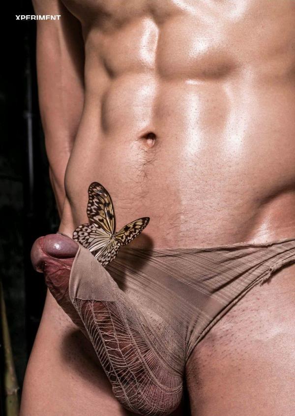 XPERIMENT-10--The-Entomologist