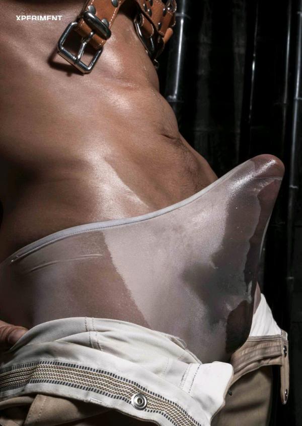 XPERIMENT-10--The-Entomologist