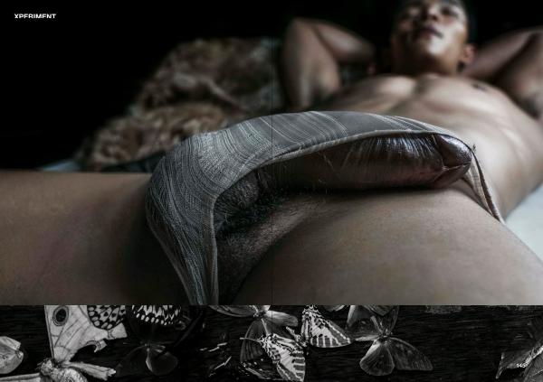 XPERIMENT-10--The-Entomologist