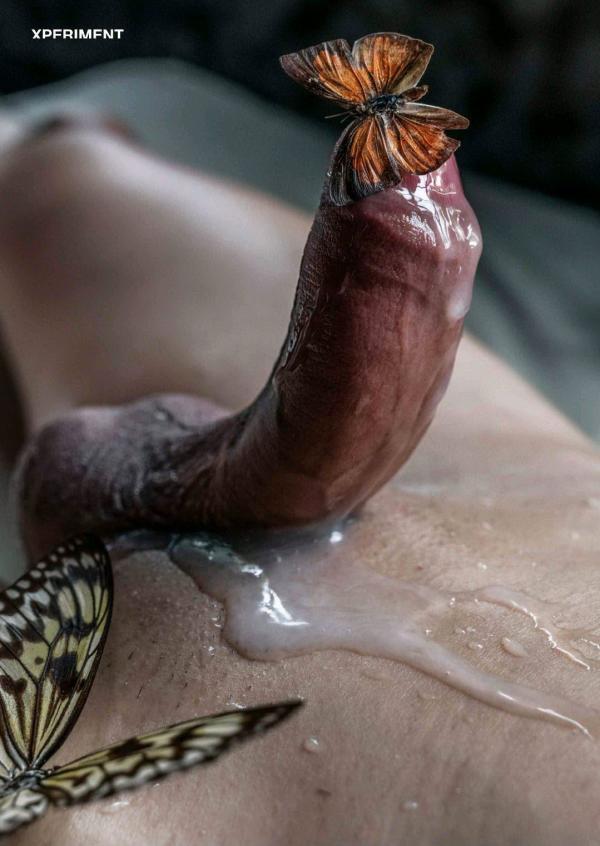 XPERIMENT-10--The-Entomologist