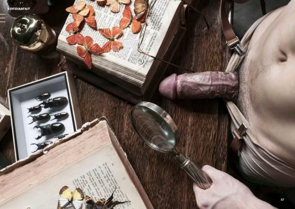 XPERIMENT-10--The-Entomologist