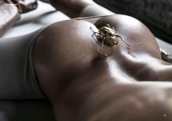 XPERIMENT-10--The-Entomologist