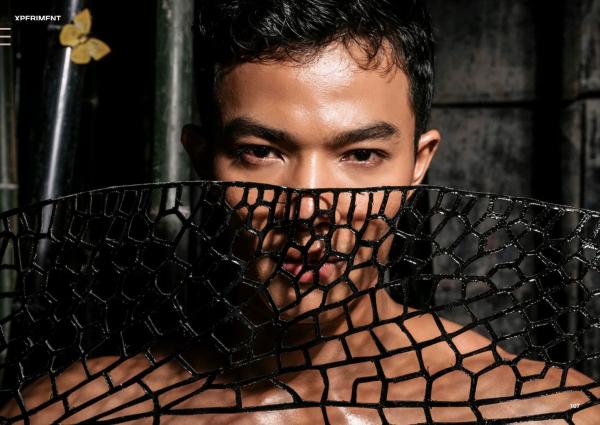 XPERIMENT-10--The-Entomologist