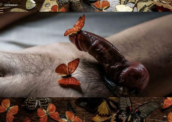 XPERIMENT-10--The-Entomologist