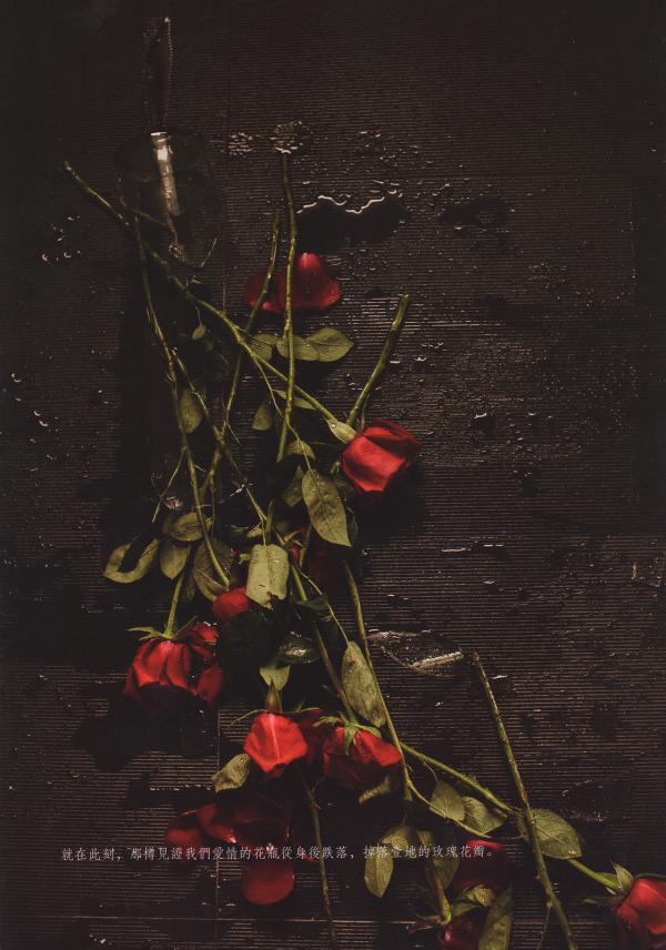 謝梓秋男性ヌード写真集「LOVE-Entanglement」-茶顏