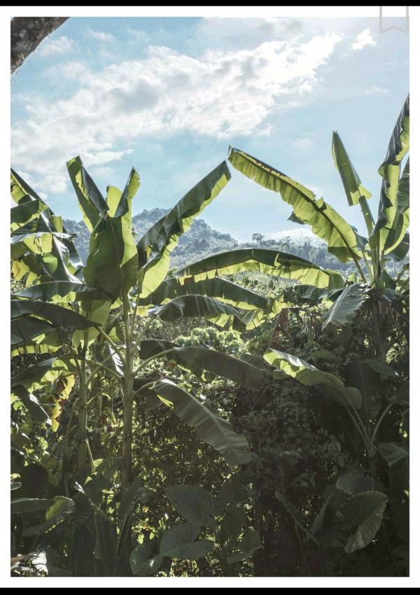 謝梓秋男性ヌード写真集「Naked-Osean」裸海之旅