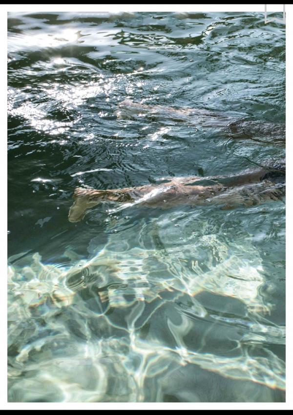 謝梓秋男性ヌード写真集「Naked-Osean」裸海之旅